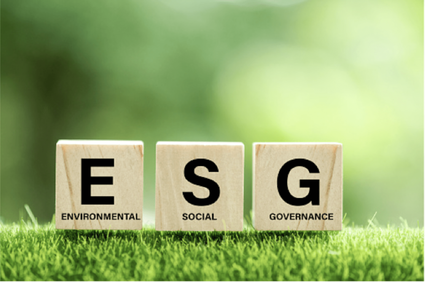 ABC Hospitality- ESG Sustainability Criteria for Hospitality
